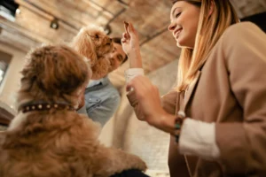 Oportunidades profesionales en la industria del cuidado de mascotas